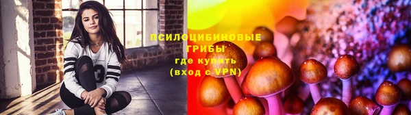 MDMA Premium VHQ Зеленодольск