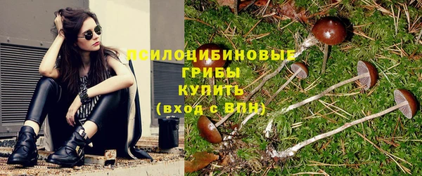 MDMA Premium VHQ Зеленодольск
