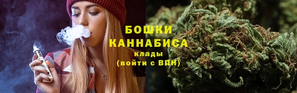PSILOCYBIN Зеленокумск