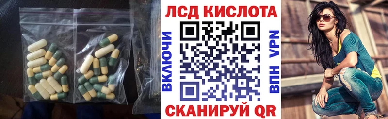 Купить  Кедровый  Лсд 25 экстази кислота 
