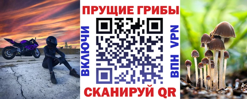 Псилоцибиновые грибы прущие грибы  Купить закладки  Кедровый 